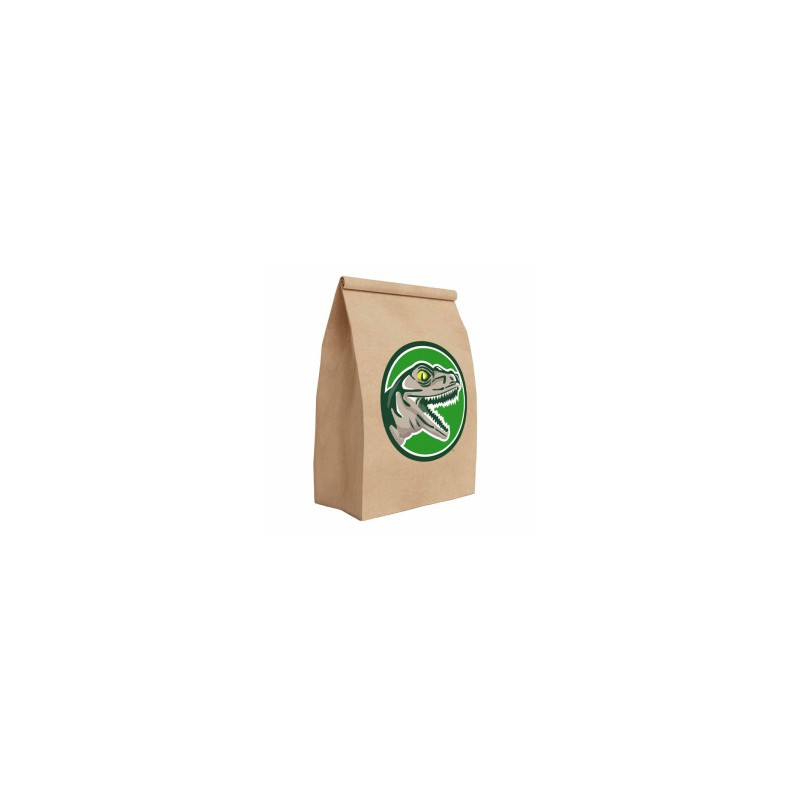 12 Bolsas de dulces Dinosaurio